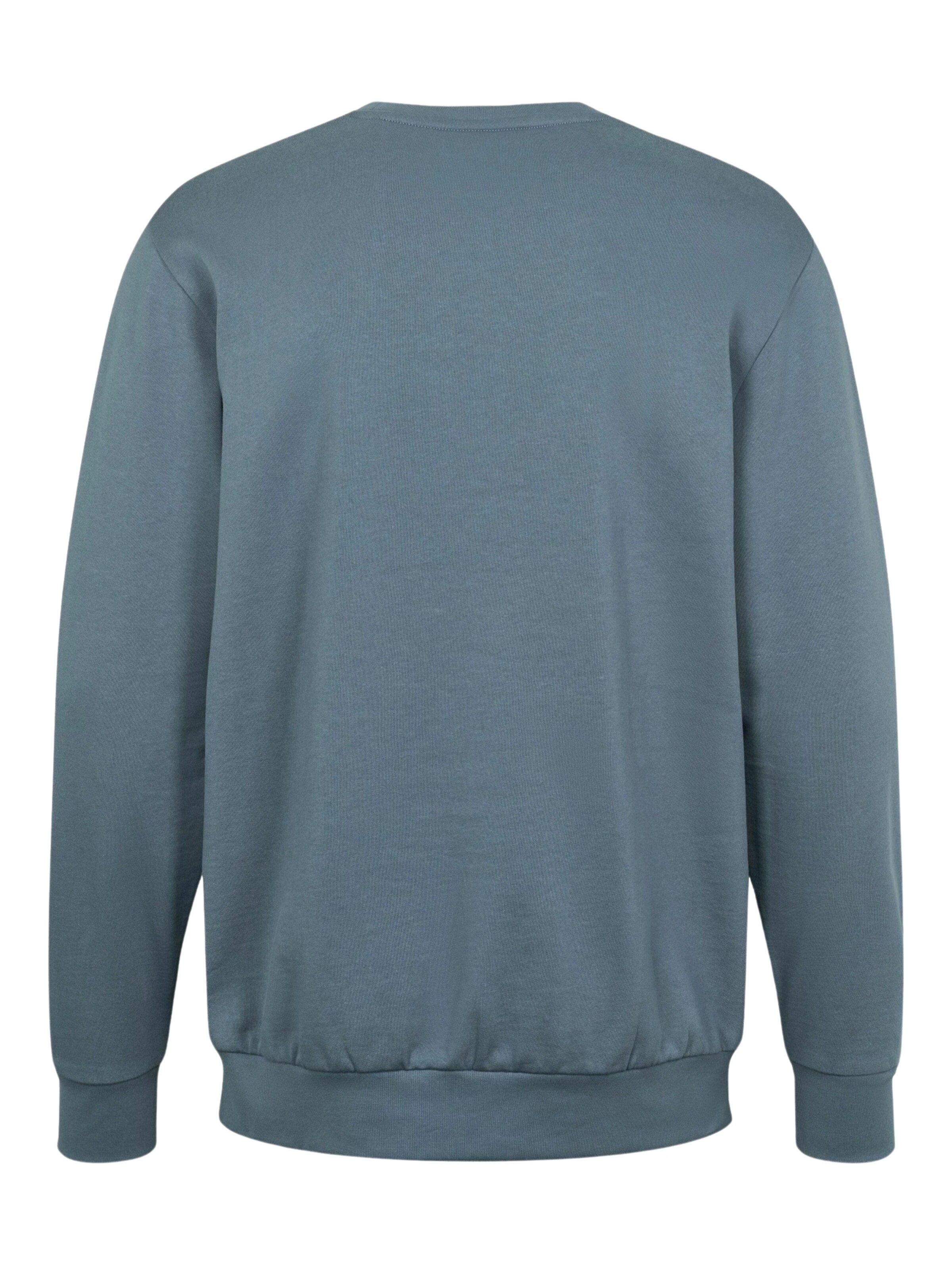 U.S. POLO ASSN. Sweatshirt 'Adler' in Blauw