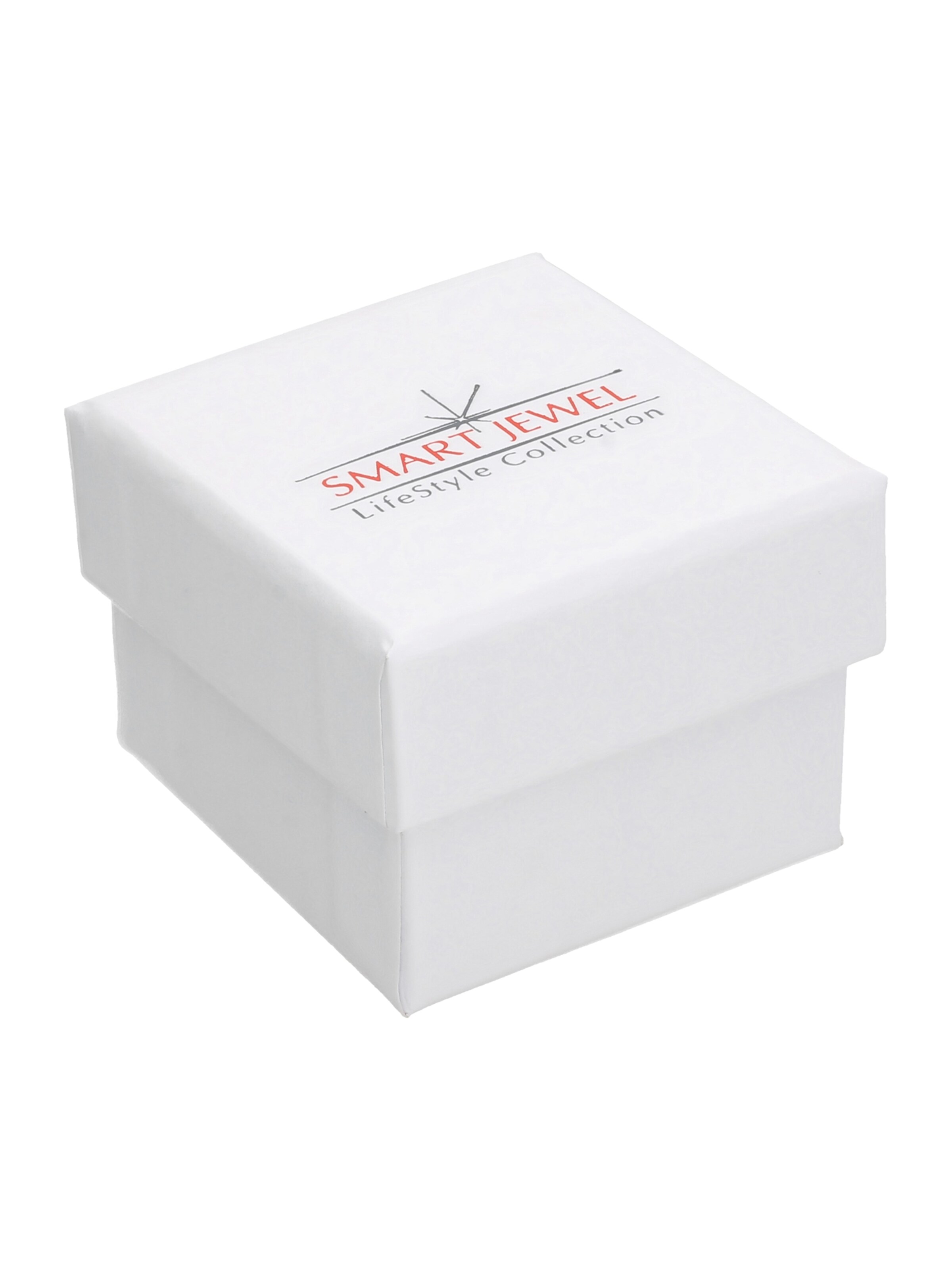 Boucles d'oreilles Smart Jewel en argent