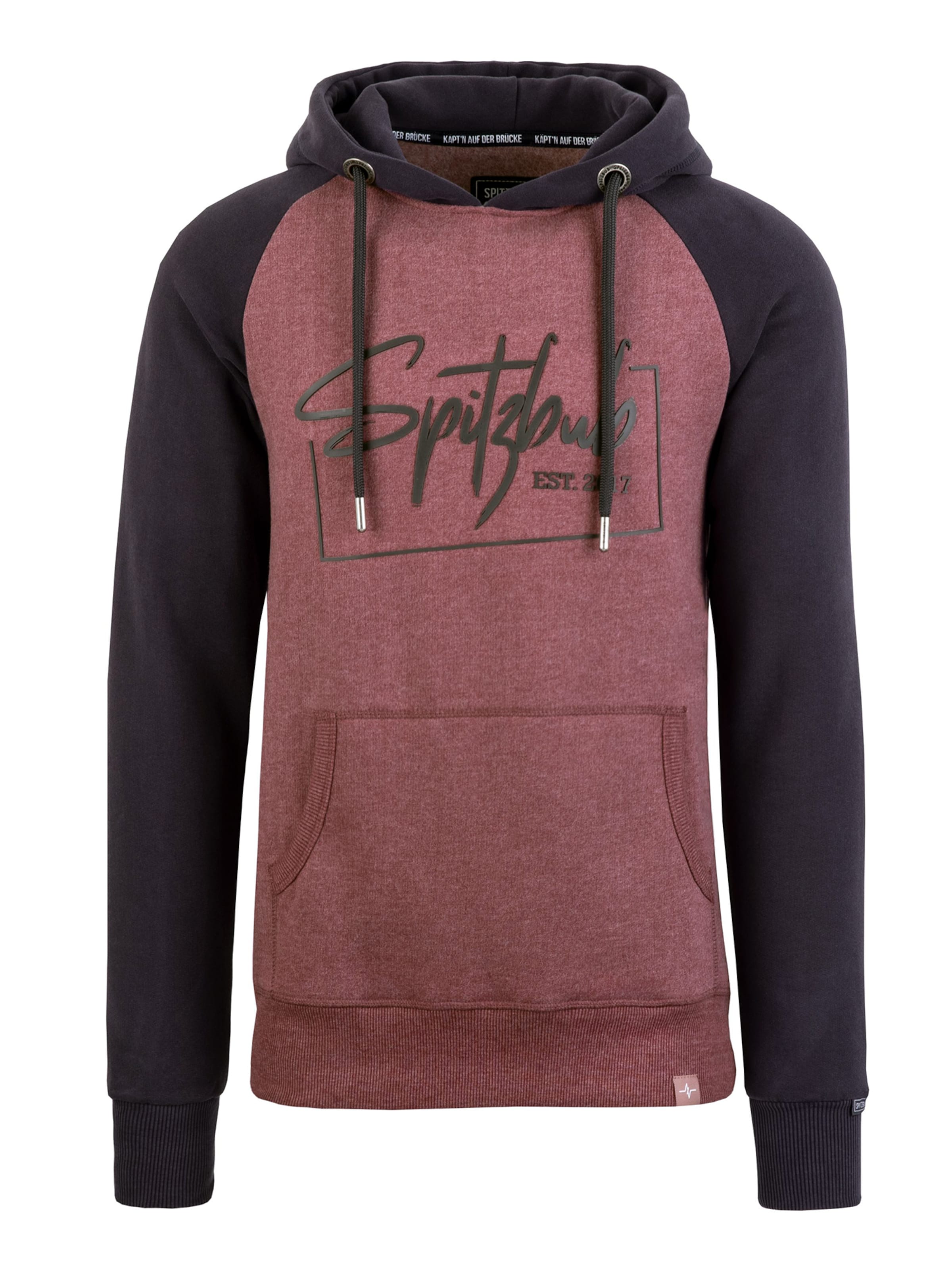 SPITZBUB Sweatshirt  'Raglan Street' in Grau: Vorderseite