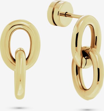 Guido Maria Kretschmer Jewellery Earrings in Gold: front