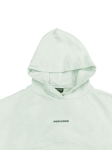 Pegador Sweatshirt 'Skei Logo' in Grau
