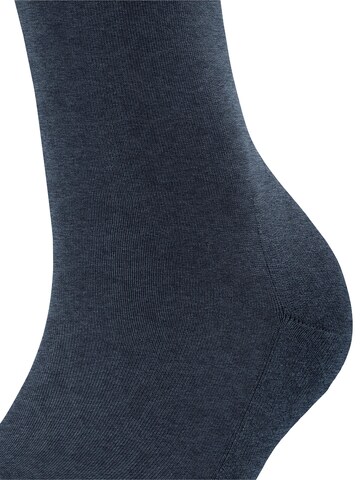 FALKE Knee High Socks 'ClimaWool' in Blue