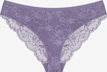 TRIUMPH Brasilslip ' Red Label Amourette Charm ' in Lila: Vorderseite