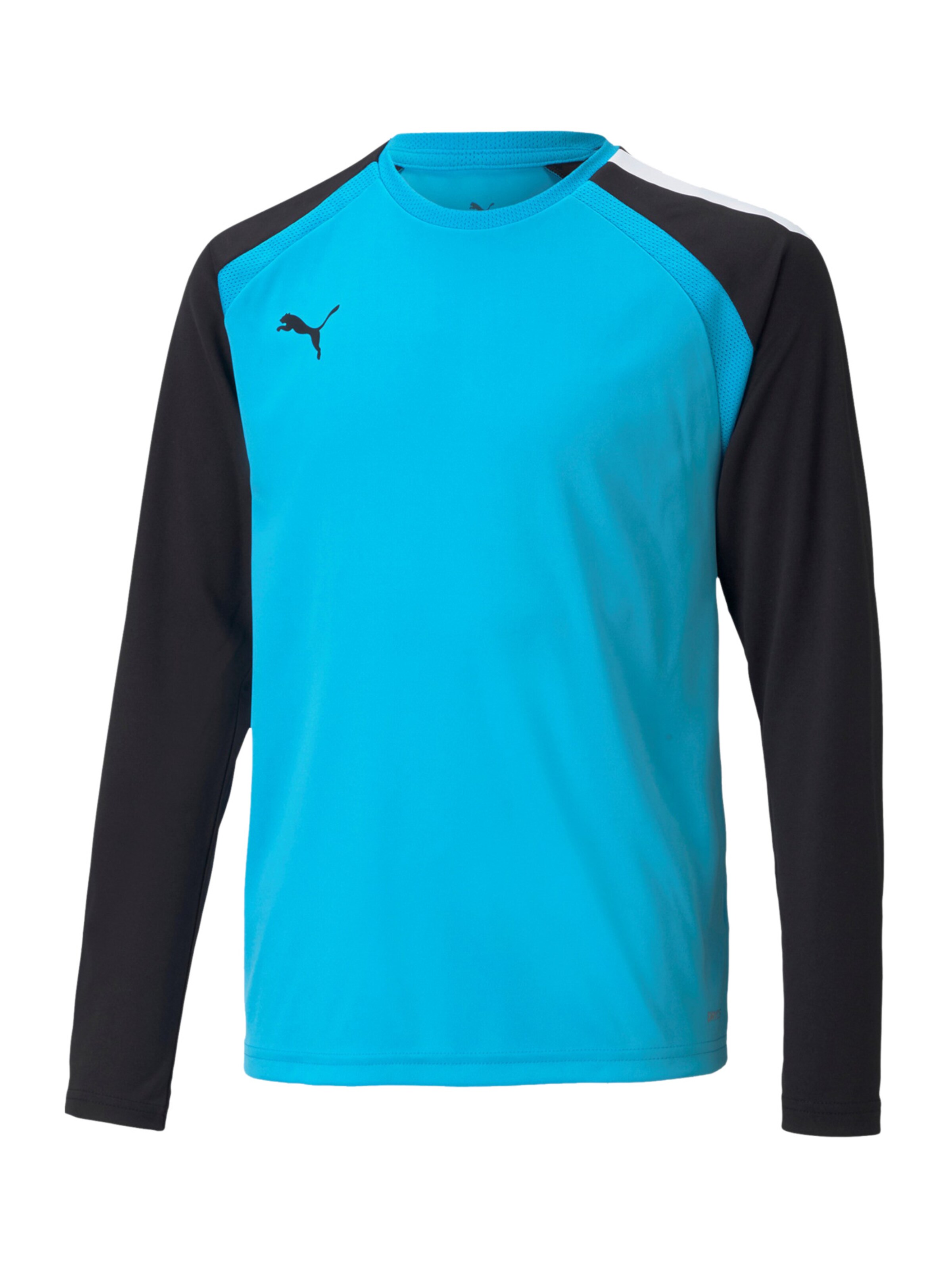 PUMA Performance Shirt 'Teampacer' in Blue: front