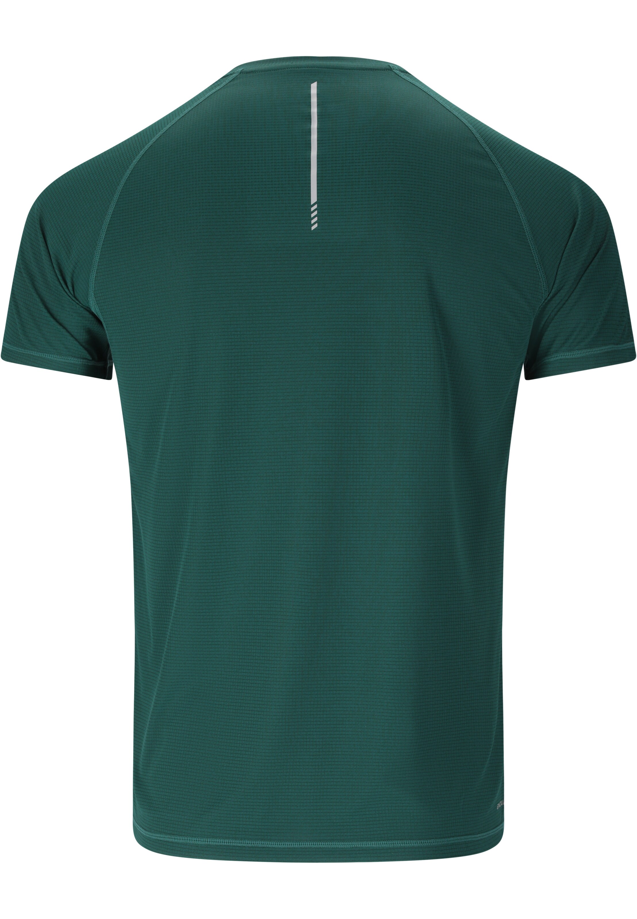 ENDURANCE Functioneel shirt 'Geaymay' in Groen