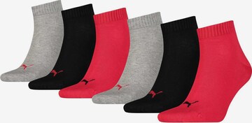 PUMA Socken in Schwarz: predná strana