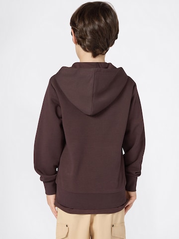 Champion Authentic Athletic Apparel Mikina – hnědá
