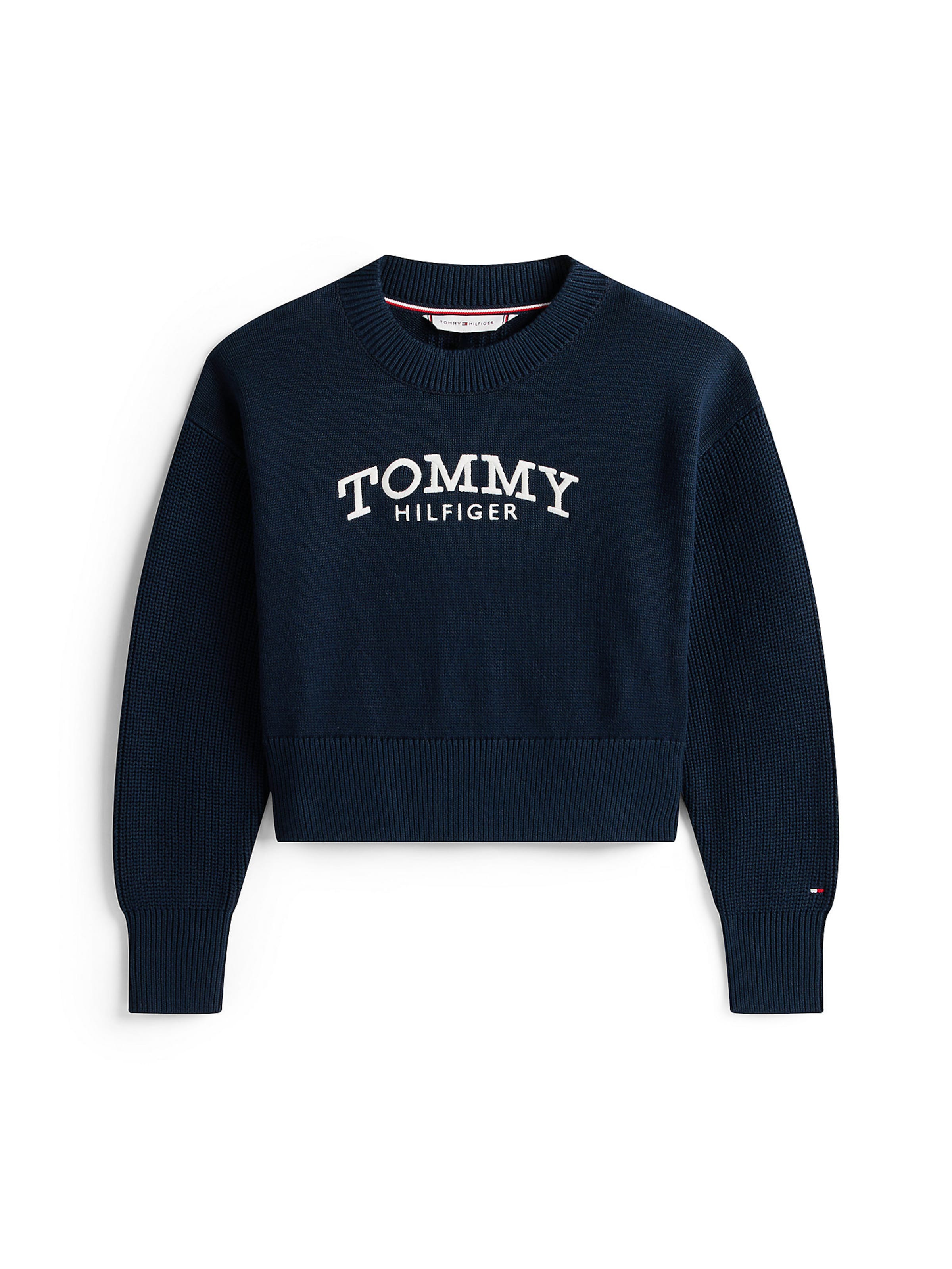 Pull-over TOMMY HILFIGER en bleu : devant