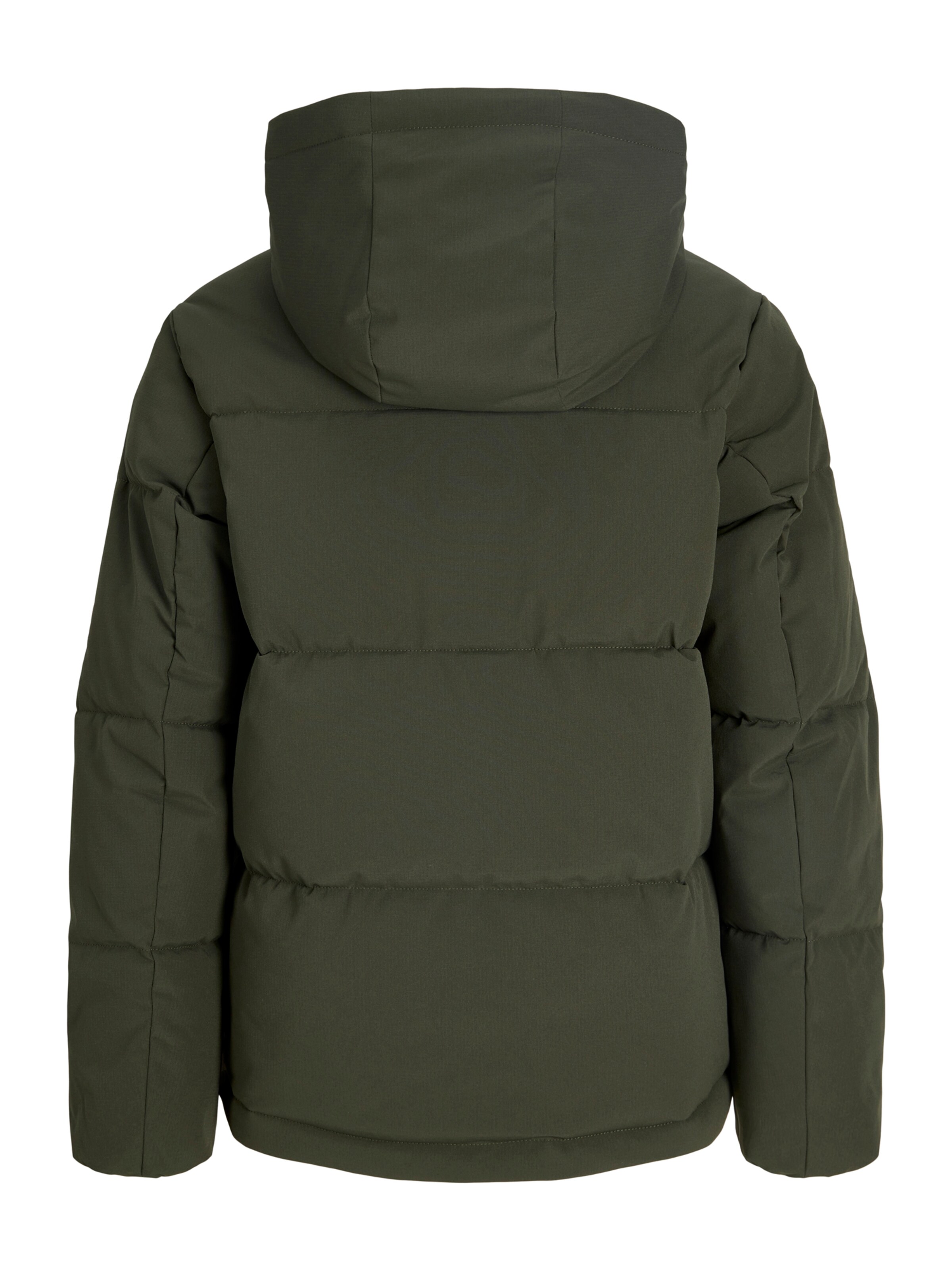 Jack & Jones Junior Winter Jacket 'JJGALAXY' in Green