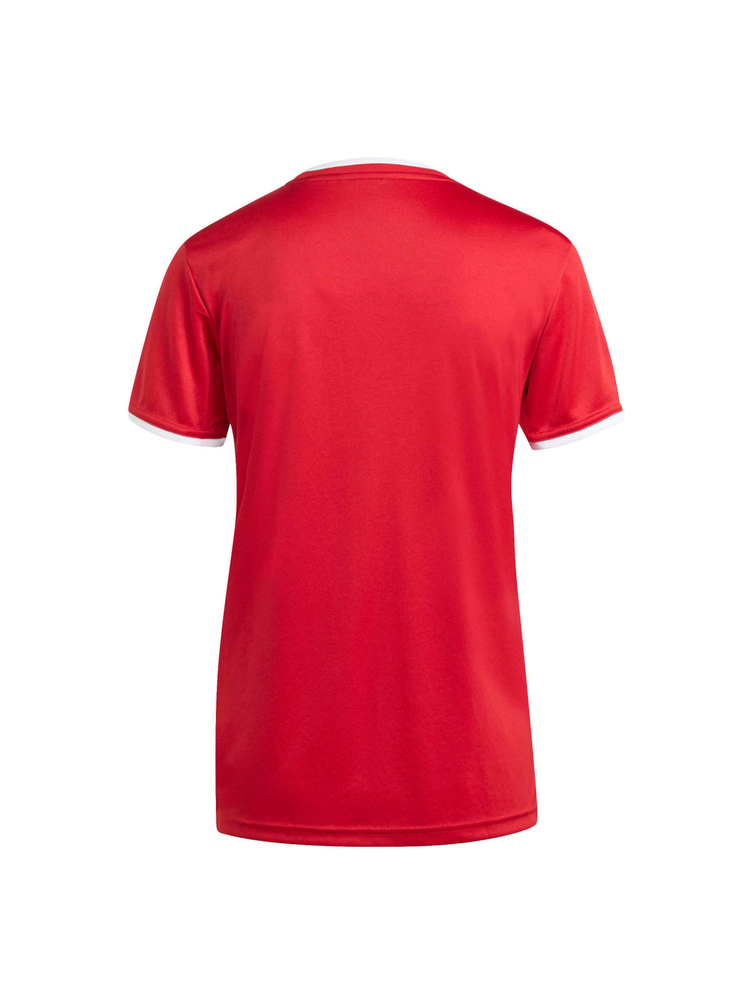ADIDAS PERFORMANCE - Camiseta funcional 'ENT26' en rojo