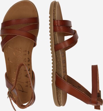 Blowfish Malibu Strap Sandals 'MAYLIE' in Brown