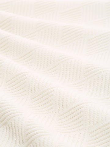 TOM TAILOR Trui in Wit