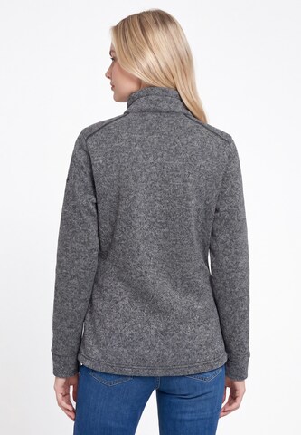Veste en polaire Schmuddelwedda en gris