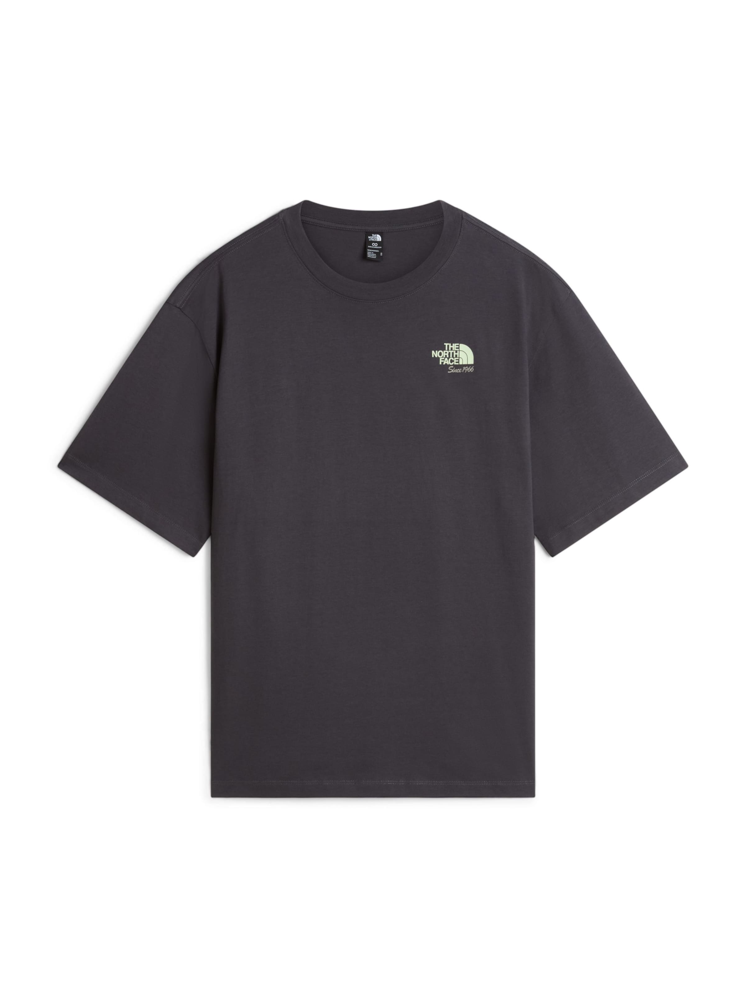 THE NORTH FACE - Camiseta 'LET'S BE BUDDIES' en gris: frente