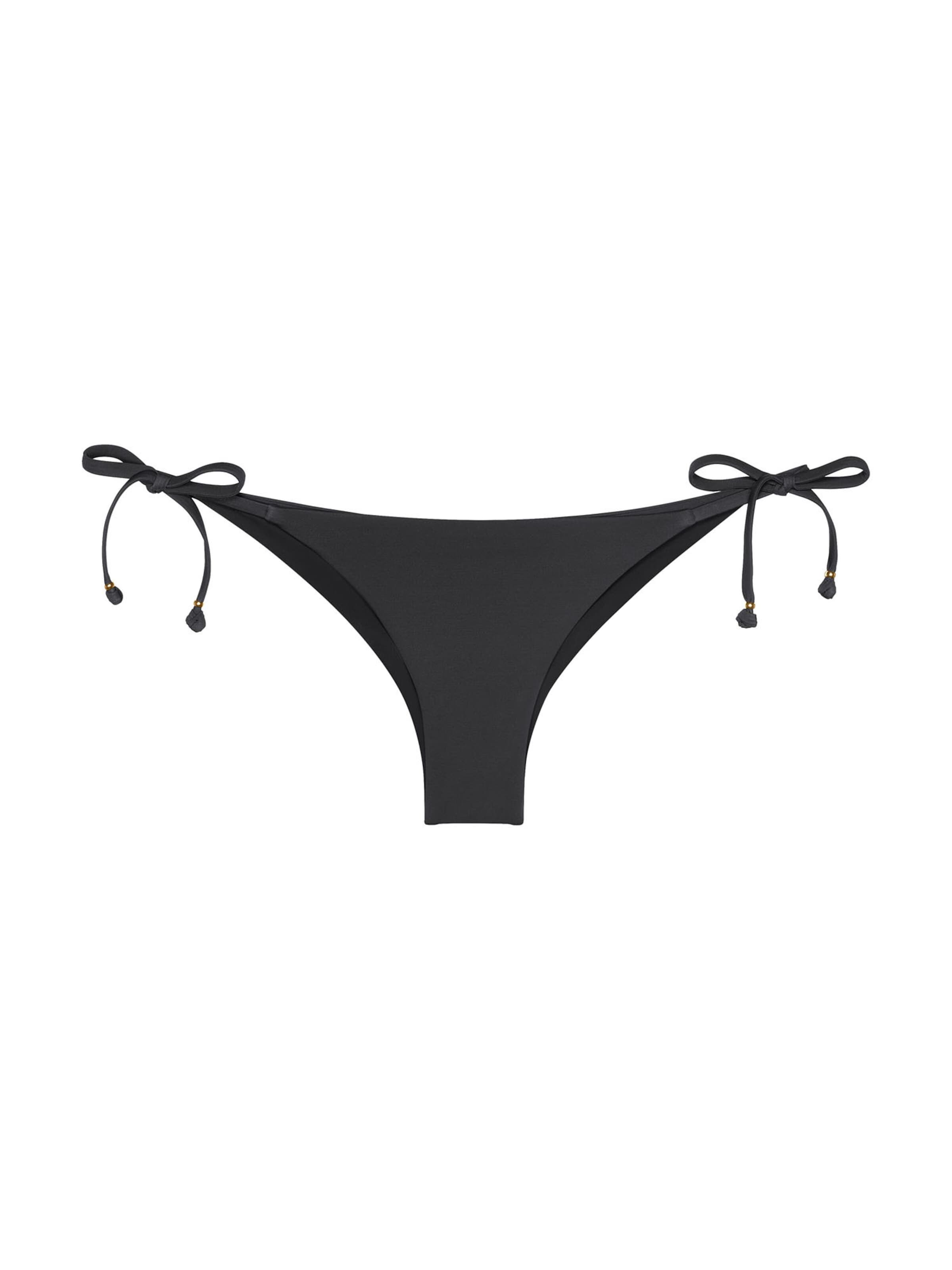 TRIUMPH Bikini bottom ' Red Label Palina Love by the Sea ' in Black: front