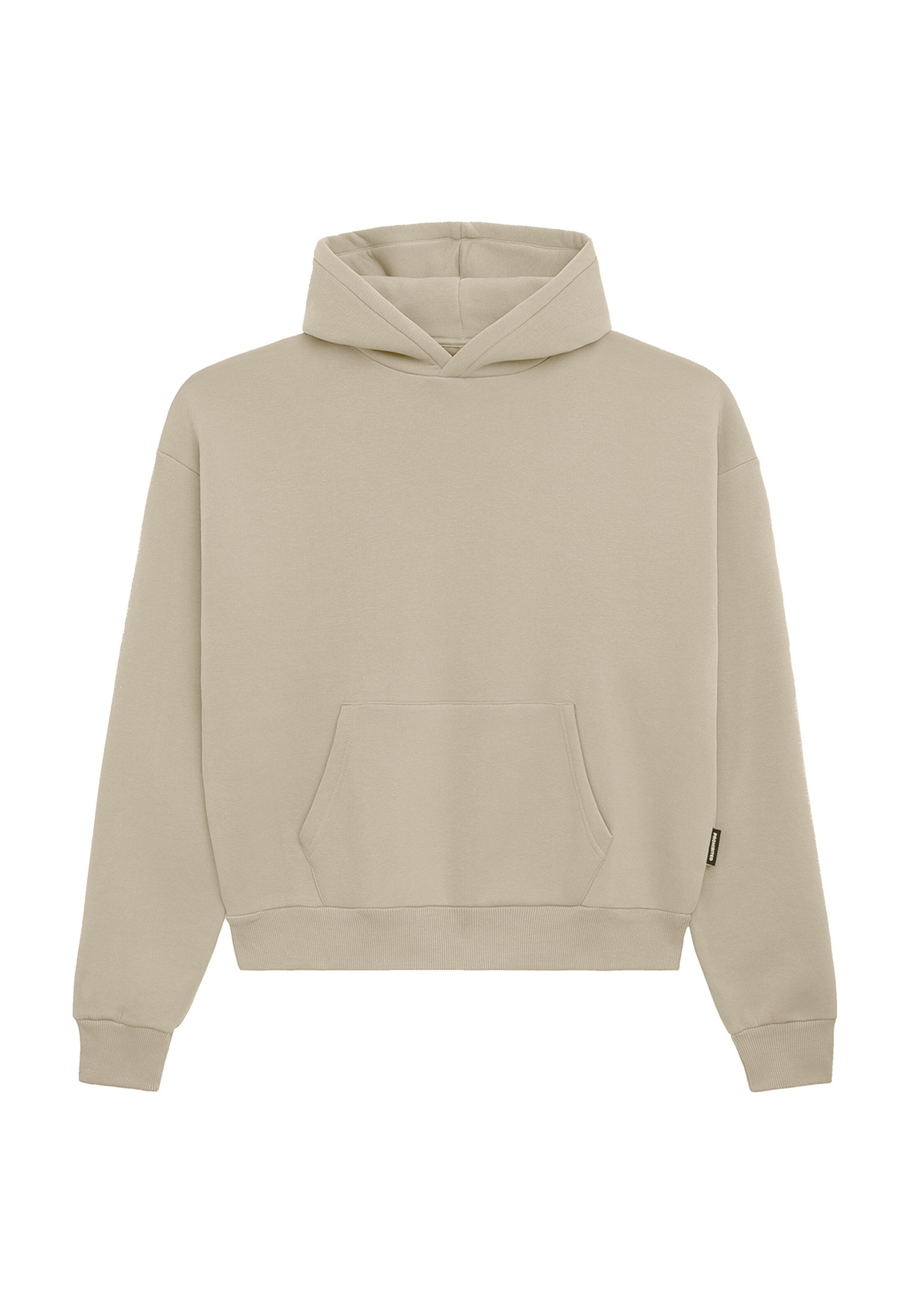 Prohibited Sweatshirt in Beige: Vorderseite