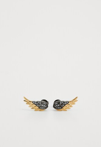 Zadig & Voltaire Uhani 'ROCK FEATHER' | črna barva: sprednja stran