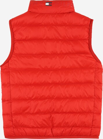 Gilet di TOMMY HILFIGER in rosso