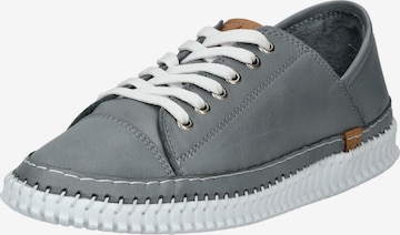 Chaussure à lacets ANDREA CONTI en gris : devant