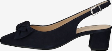 PETER KAISER Pumps in Blau