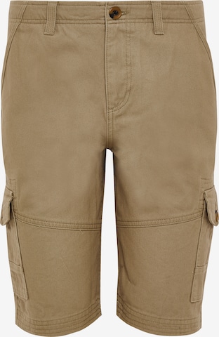 Pantaloni 'Hydro' di Threadbare in beige: frontale