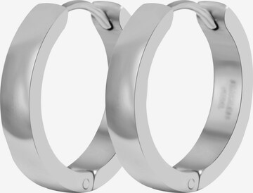 Akzent Earrings 'Jolina, langlebig' in Silver: front