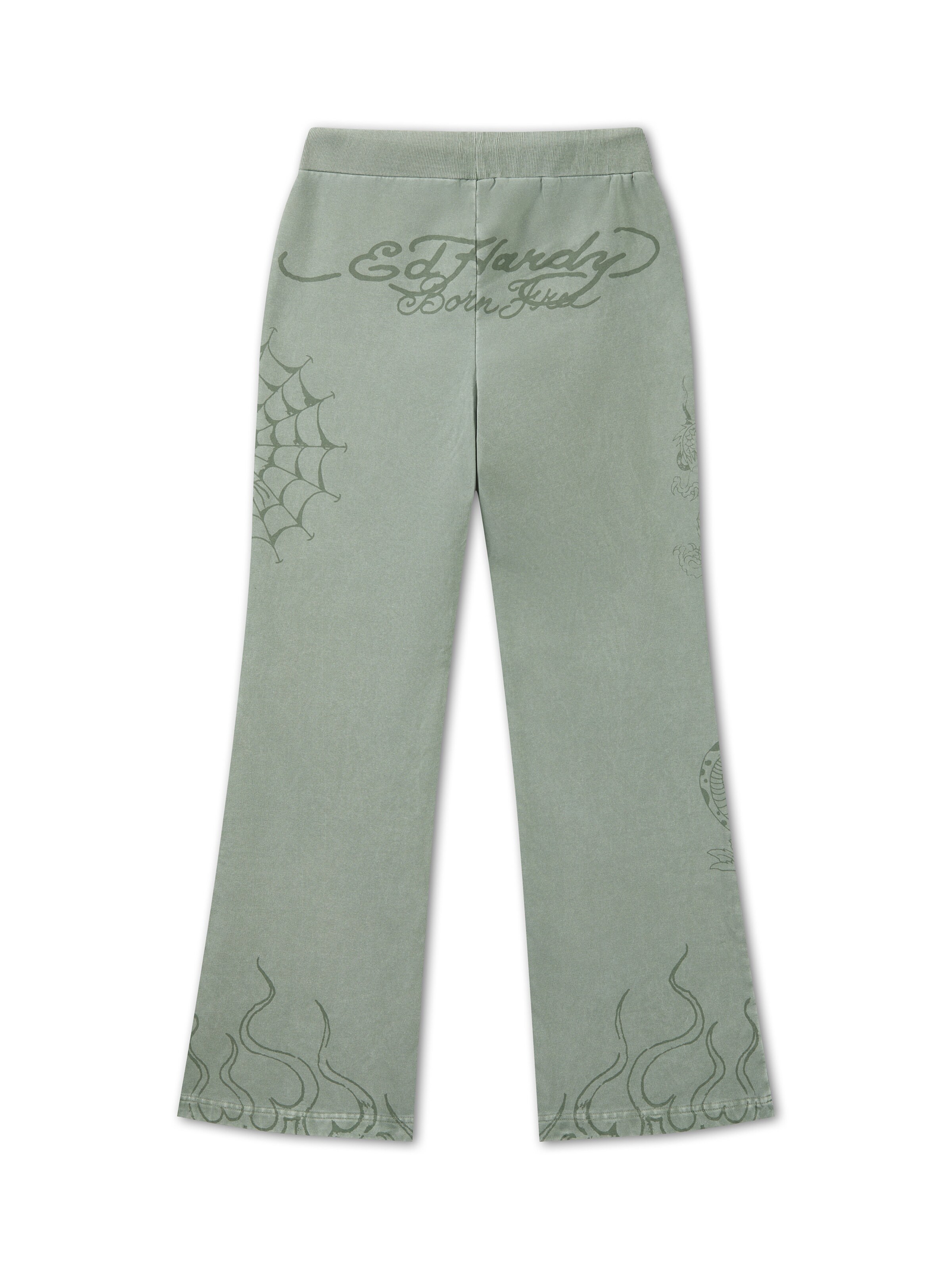 Regular Pantalon Ed Hardy en vert : derrière