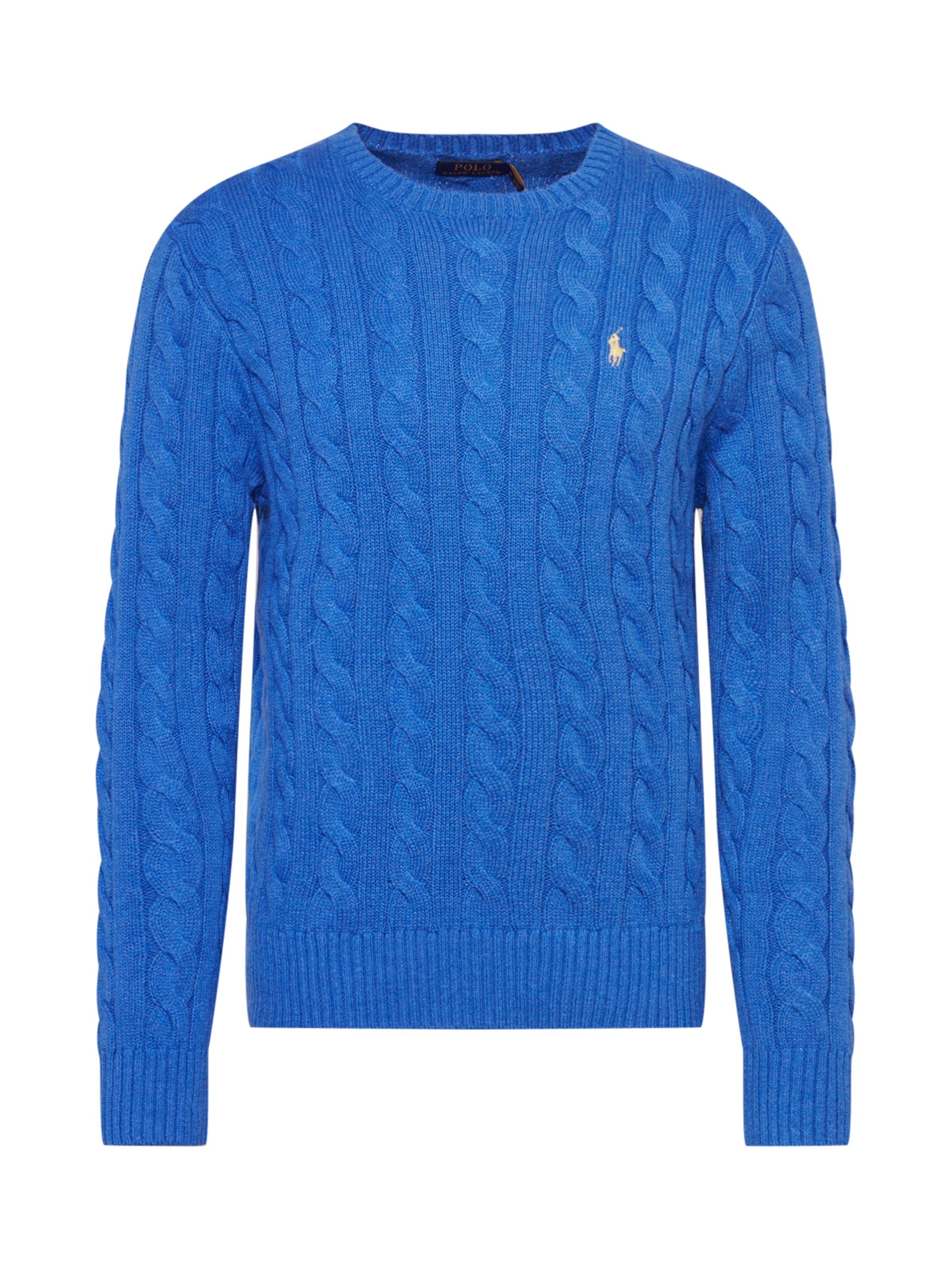 Polo Ralph Lauren - Jersey 'DRIVER' en azul: frente