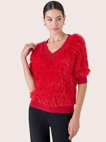 Camomilla Italia Pullover in Rot: Vorderseite