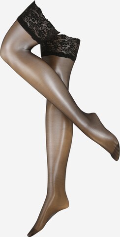 Bluebella Tights in Black: front