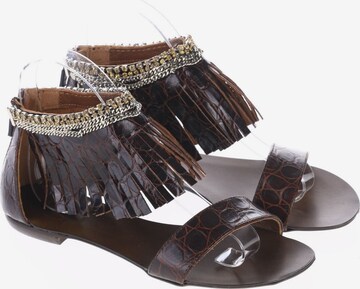 Giancarlo Paoli Sandals & High-Heeled Sandals in 36 in Brown: front