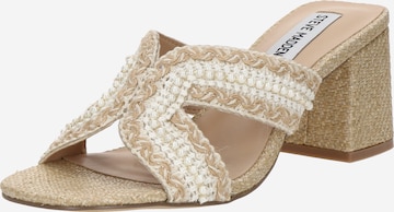 STEVE MADDEN Pistokkaat 'Dolores' värissä valkoinen: etupuoli