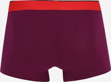DIESEL Boxer shorts in Purple