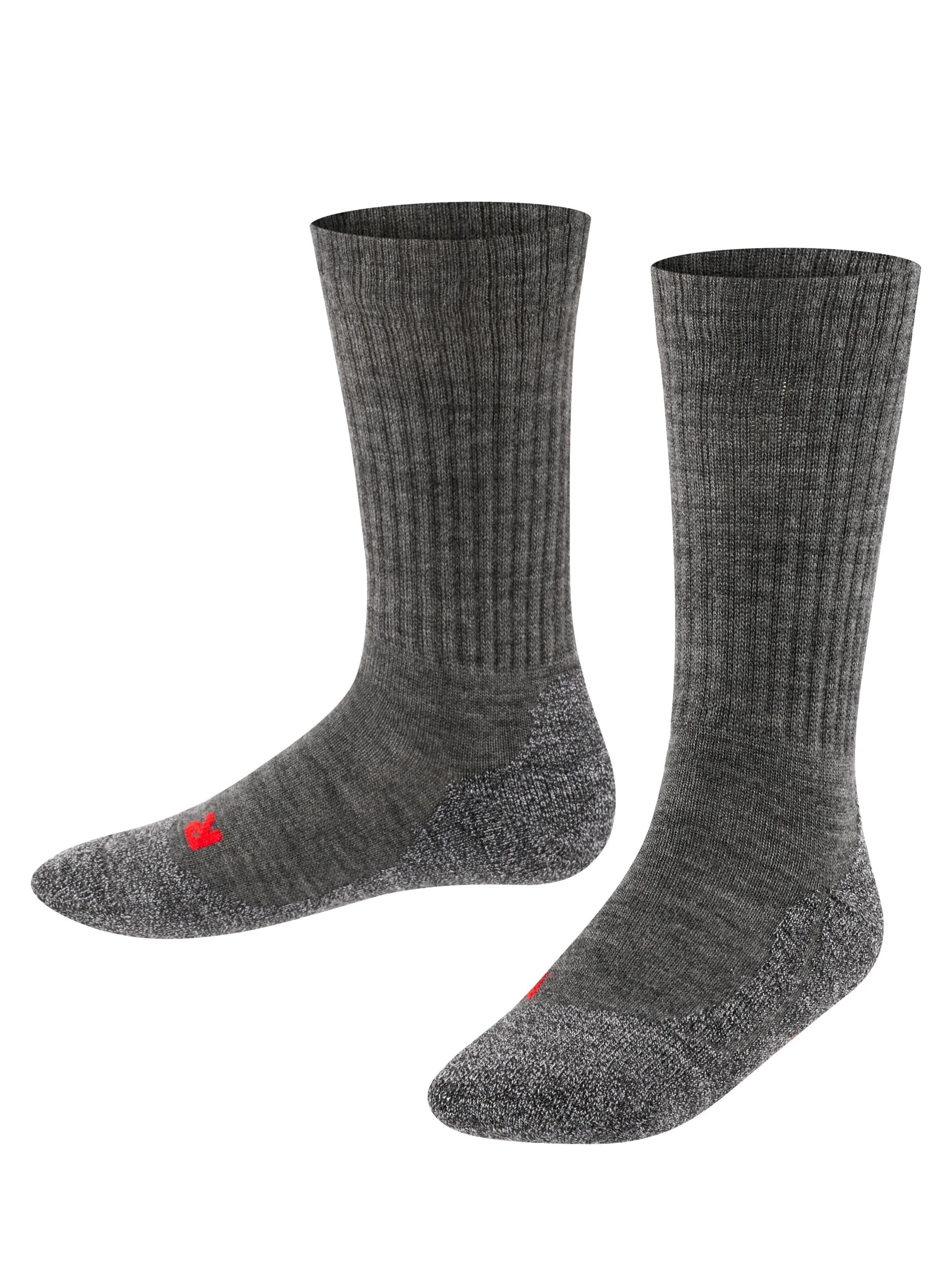 FALKE Socks 'Active Warm' in Grey: front