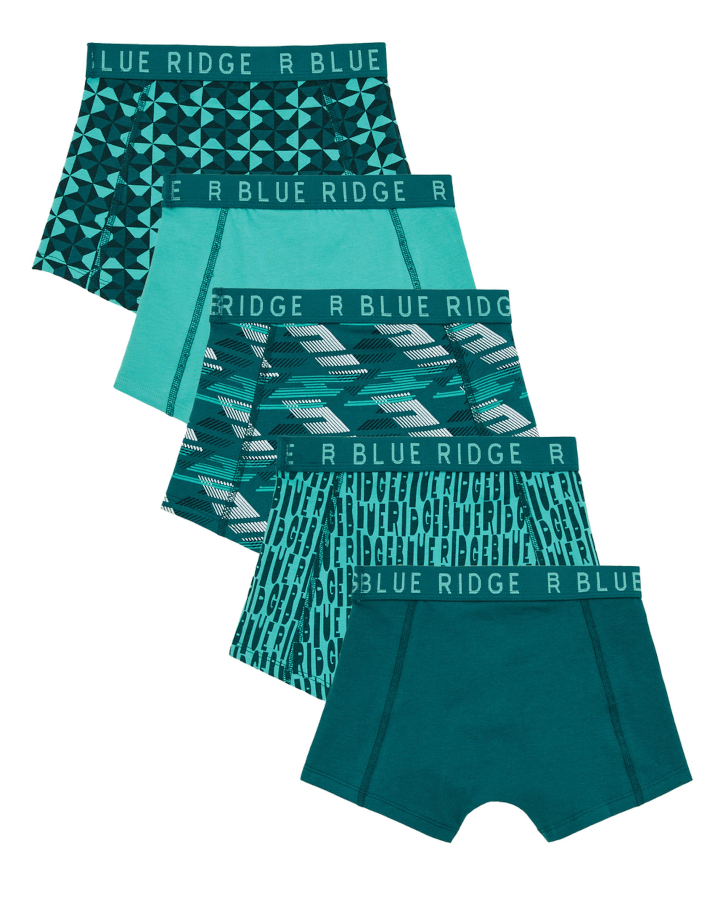 Sous-vêtements WE Fashion en vert : devant