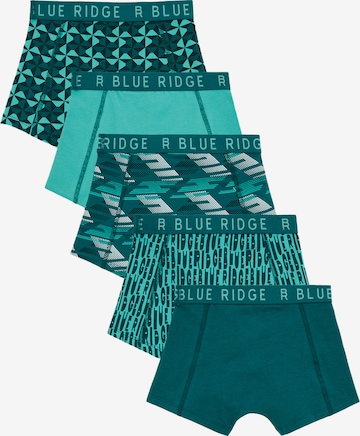 žalia WE Fashion Apatinės kelnaitės: priekis