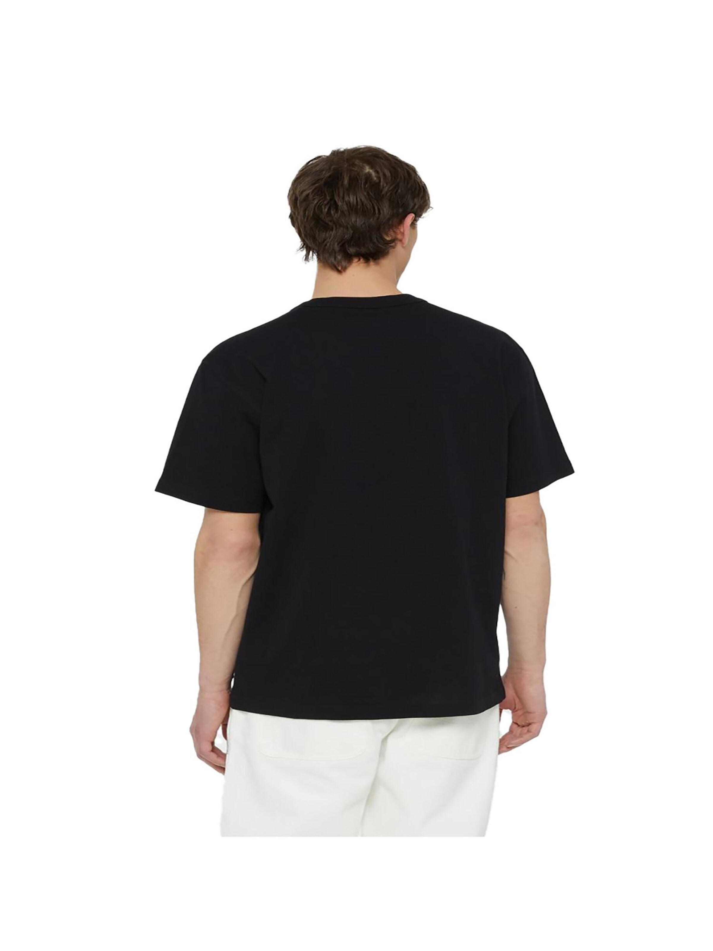 DICKIES Shirt 'Aitkin' in Schwarz