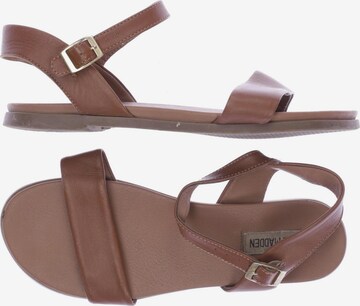 STEVE MADDEN Sandalen 42,5 in Braun: predná strana