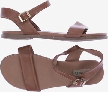 STEVE MADDEN Sandals & High-Heeled Sandals in 42,5 in Brown: front