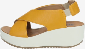 IGI&CO Sandals in Yellow