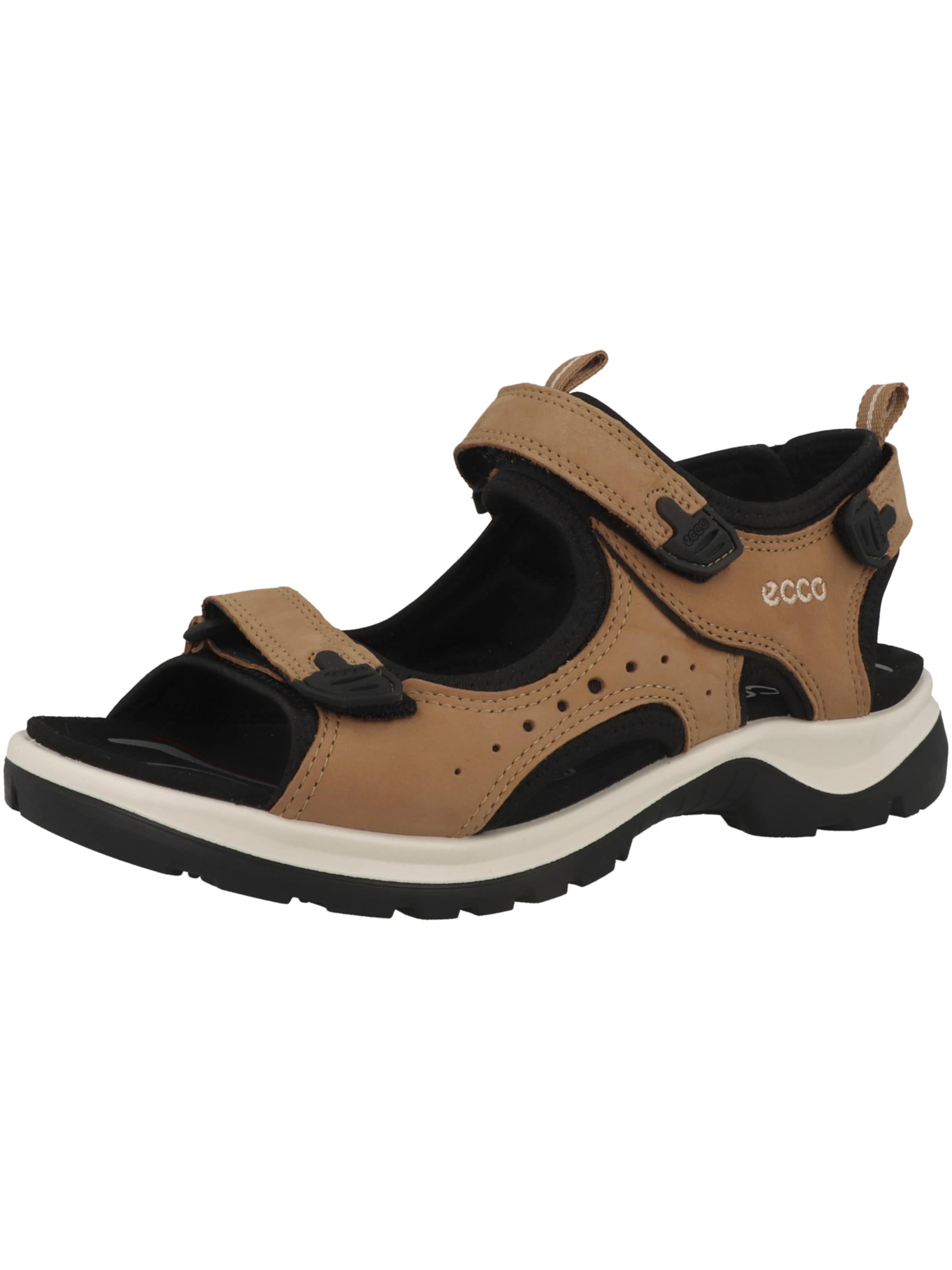 Sandalo da trekking 'Offroad Andes II' di ECCO in marrone: frontale