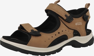 ECCO - Sandálias de trekking 'Offroad Andes II' em castanho: frente