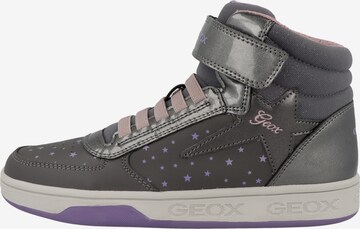 GEOX Sneaker 'Maltin G. A' in Grau