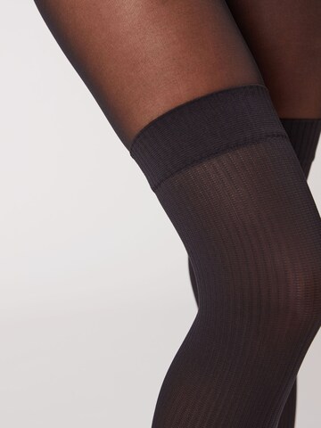CALZEDONIA Fine Tights in Black