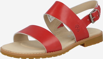 TIMBERLAND Sandaal 'Chicago' in de kleur Pitaja roze, Productweergave