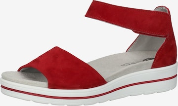 Bama Sandals in Red: front