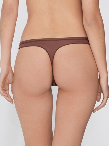 Tezenis Thong in Brown