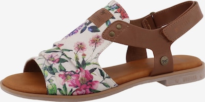 36 dydžio Sandalai iš MUSTANG, spalva – tamsiai mėlyna / žalia / rožių spalva / balta, Prekių apžvalga