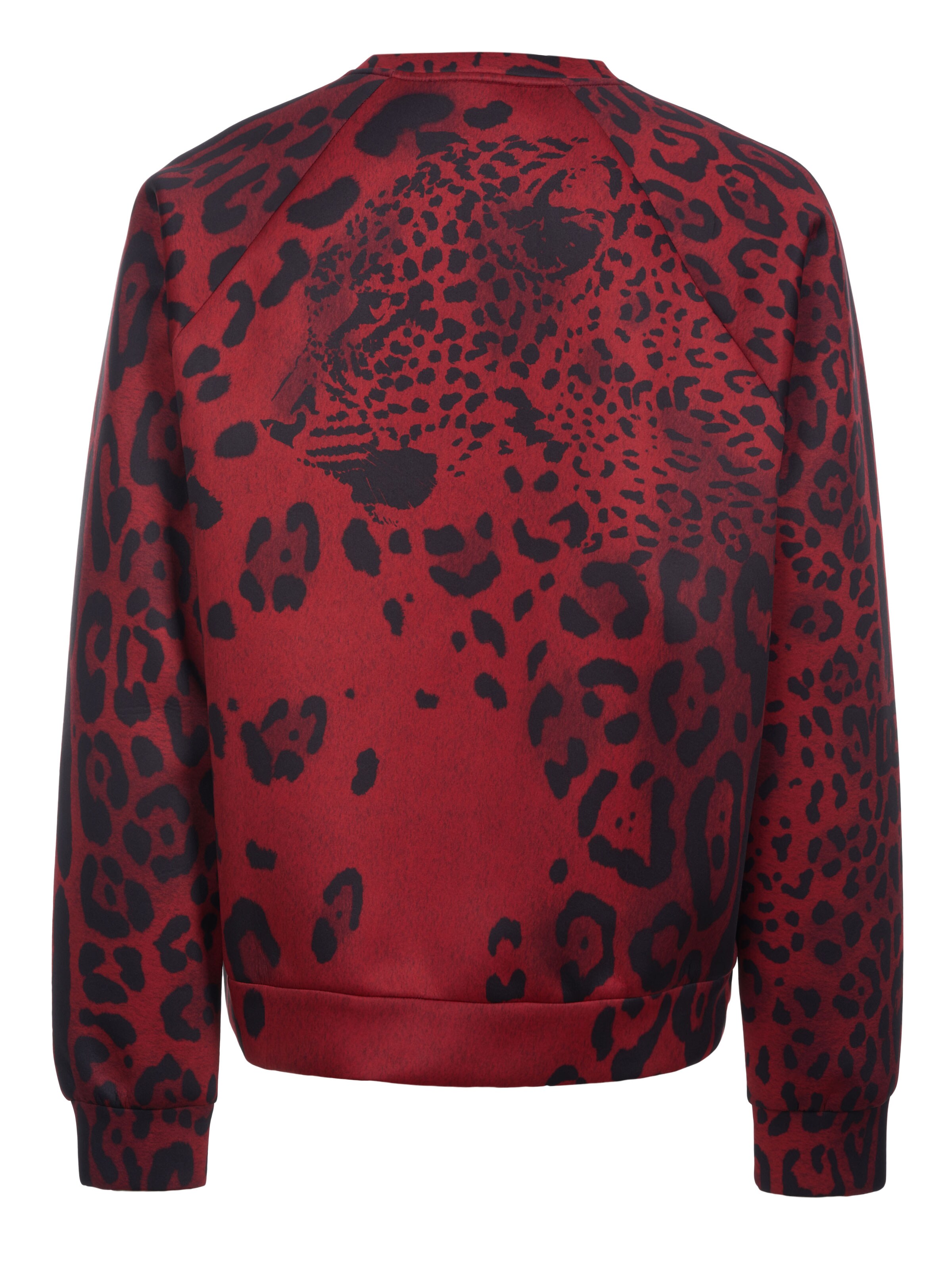 DOLCE & GABBANA Pullover 'Dolce & Gabbana Pullover'‌‌‌‌‌‌‌‌ in Rot
