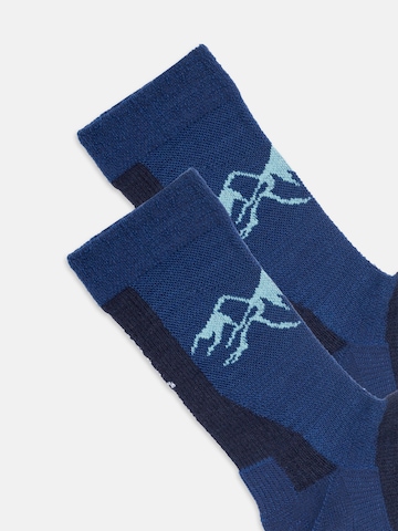 Chaussettes de sport DillySocks en bleu